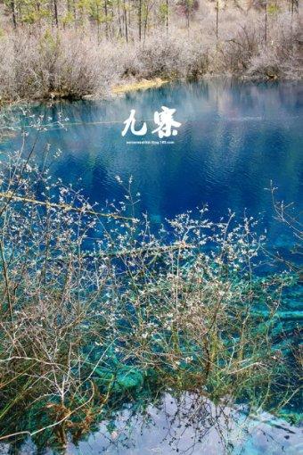 风卷残云