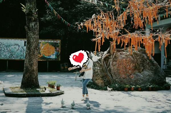 关羽的女儿关三小姐，她嫁给了谁？最终的结局是怎样的？游戏画面